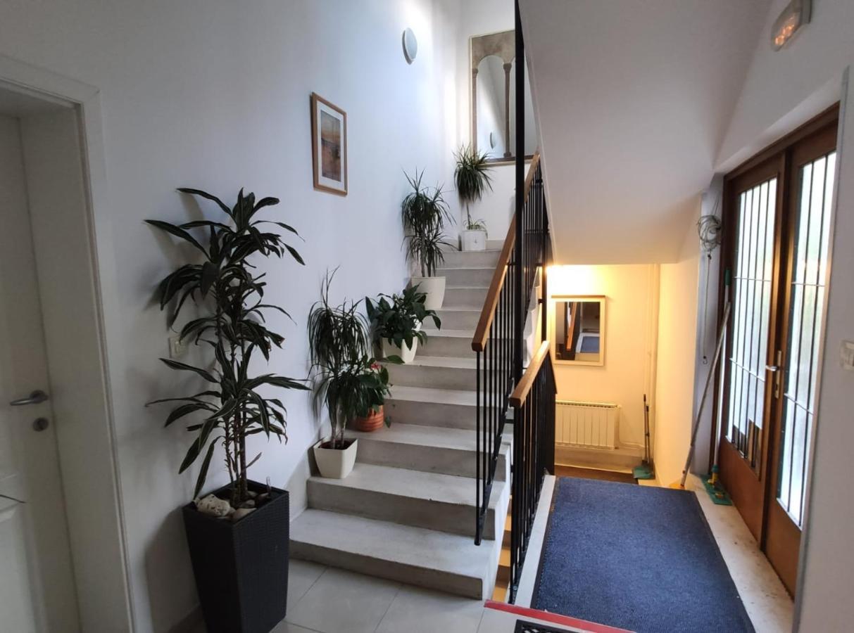 Apartment Ivana 2 *